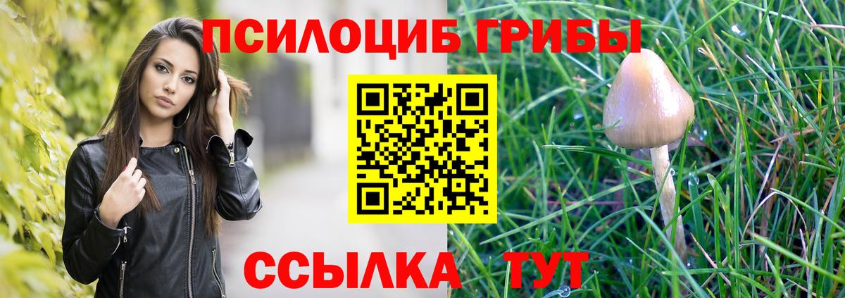 Галлюциногенные грибы Magic Shrooms Гудермес